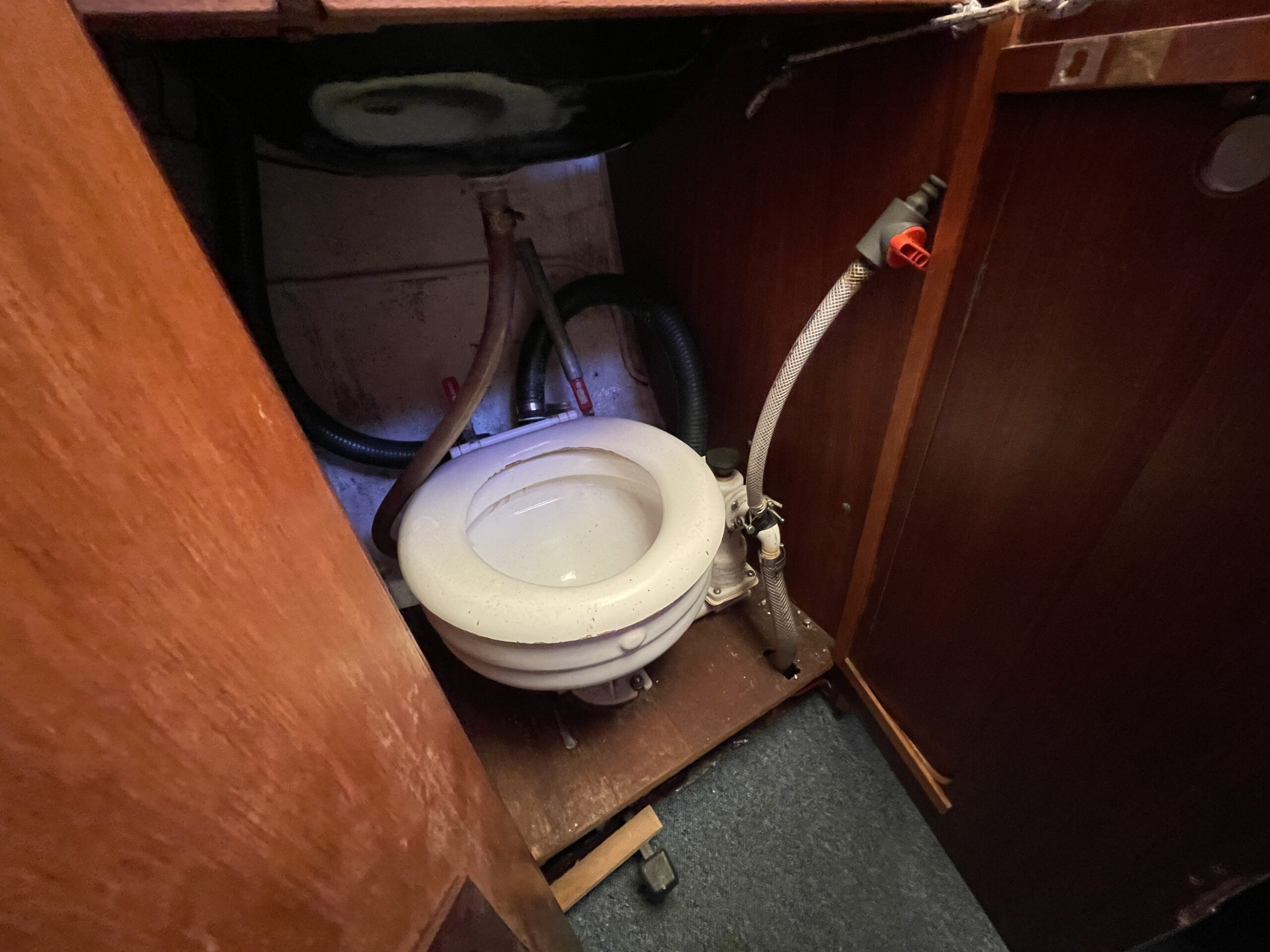 Svea Krydser - Billede 4