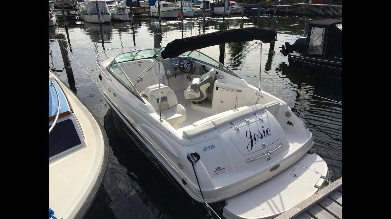 Chaparral 215 SSI - Billede 2