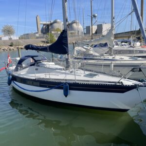Kings Cruiser 33