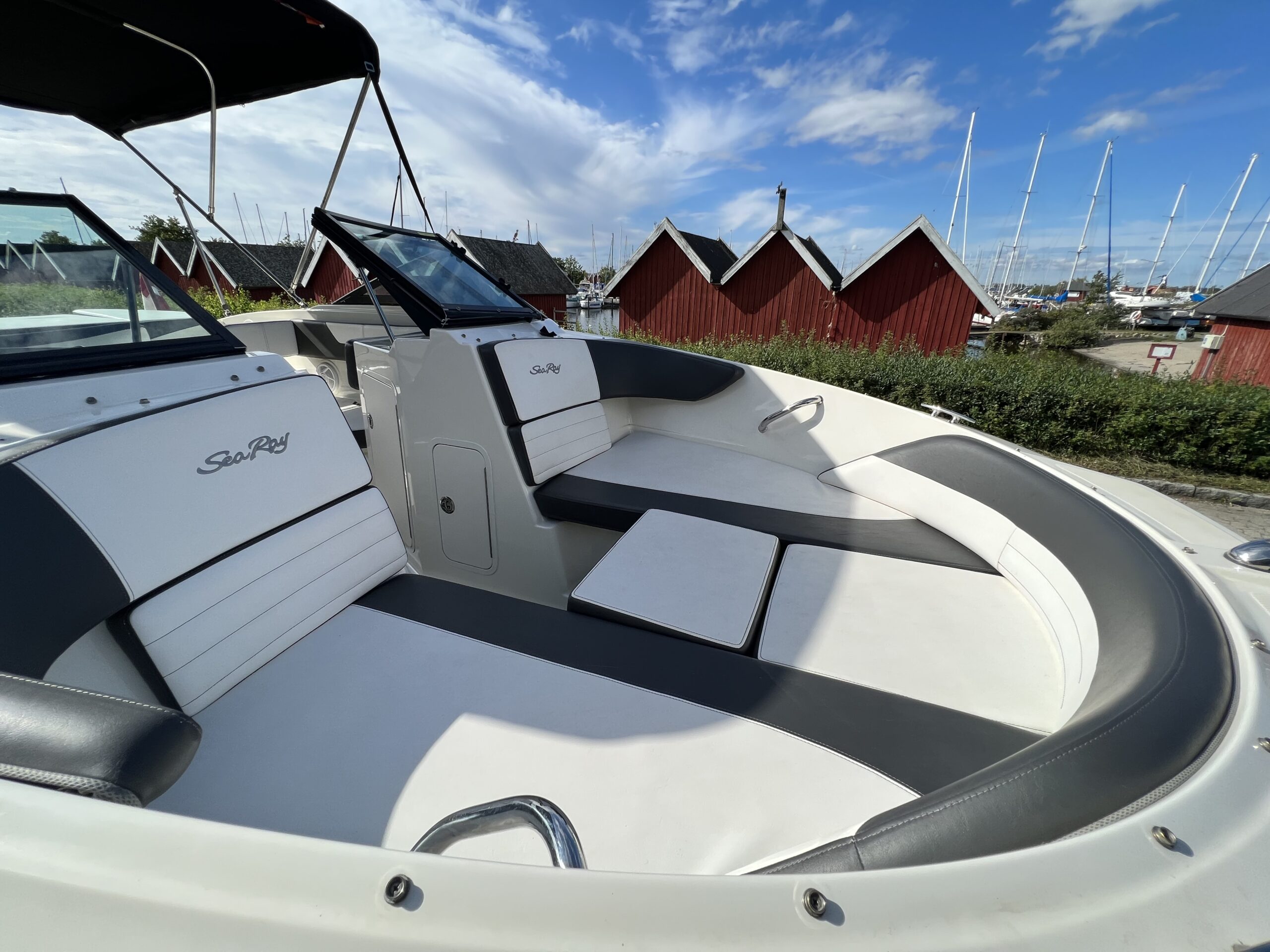 Sea Ray 190 SPX m/V6 MPI - Billede 2