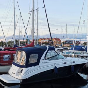 Sea Ray 315 Sundancer