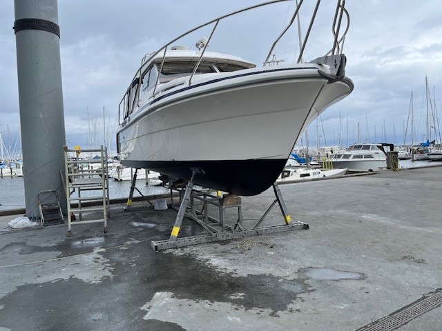 Saga 310 - Billede 2