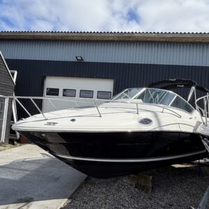 Sea Ray 245 Sundancer