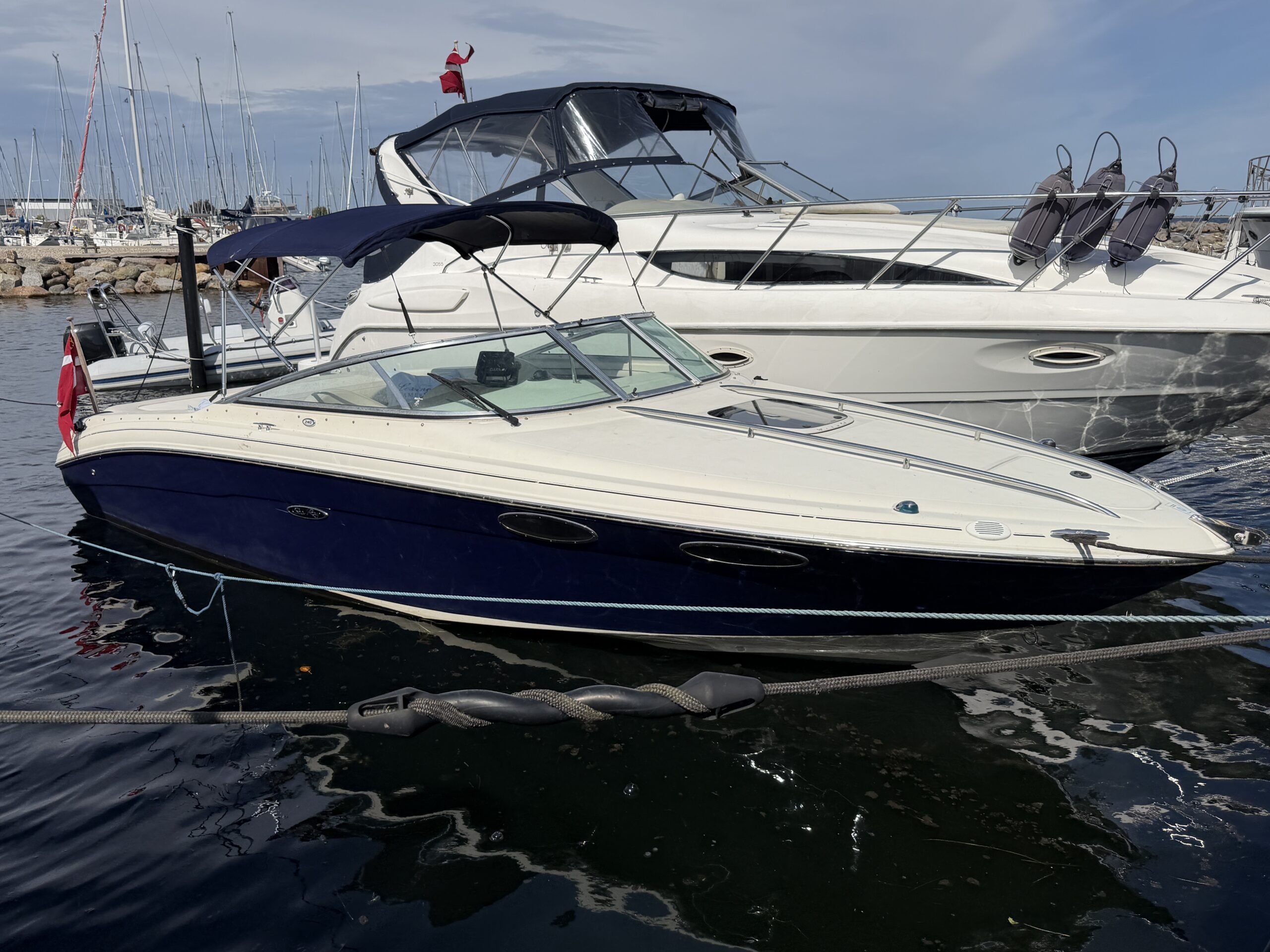 Sea Ray 240 Sun Sport - Billede 2